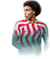 Witsel